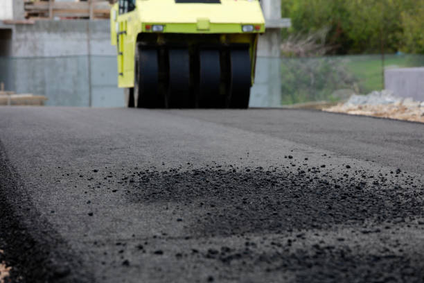 Best Driveway Pavers Cost  in Santa Teresa, NM